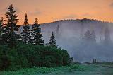 Dawn Fog_02155